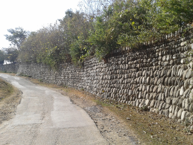 dgl_wall